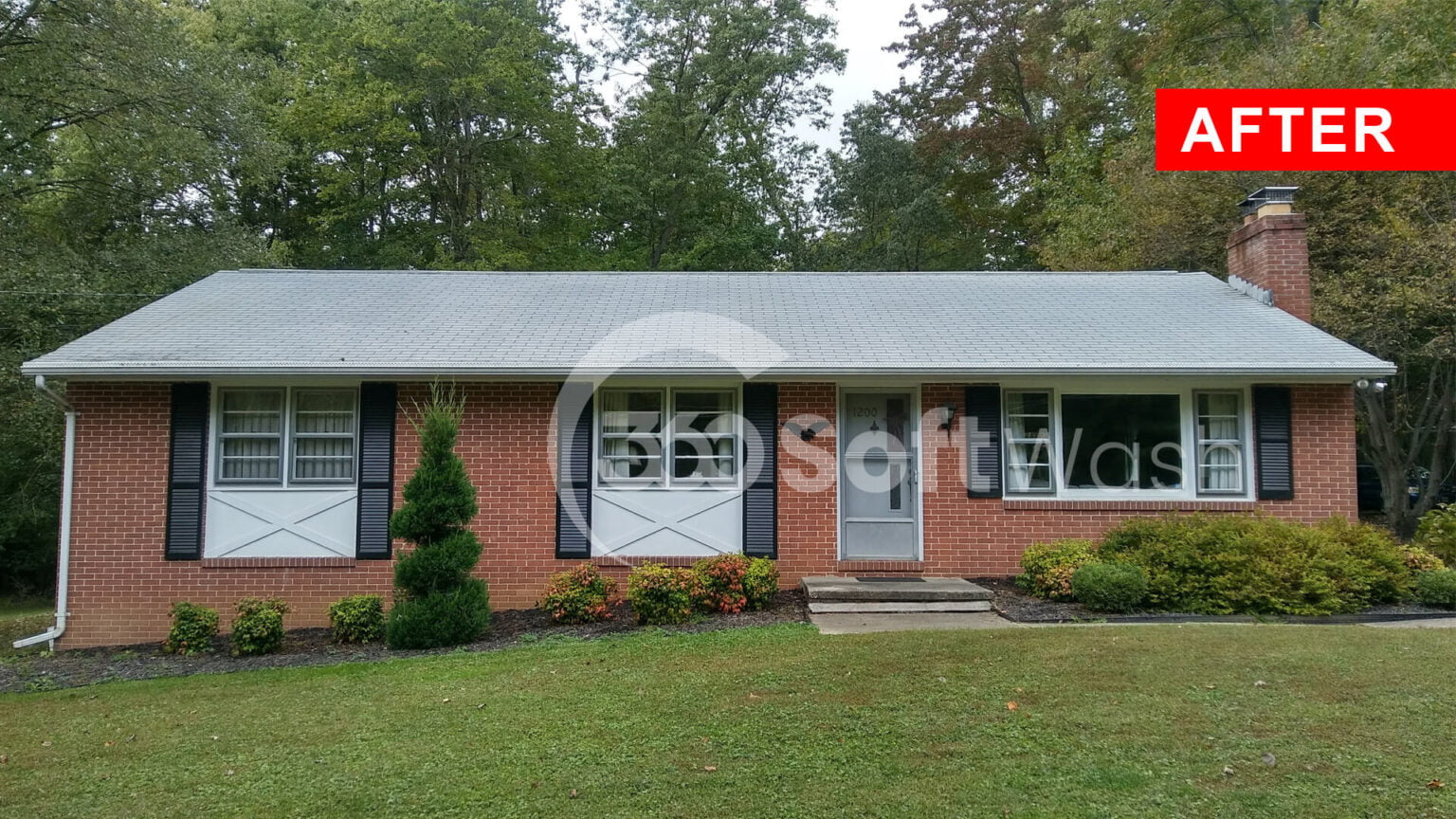 Best Roof Cleaning Bel Air MD 21014 21015